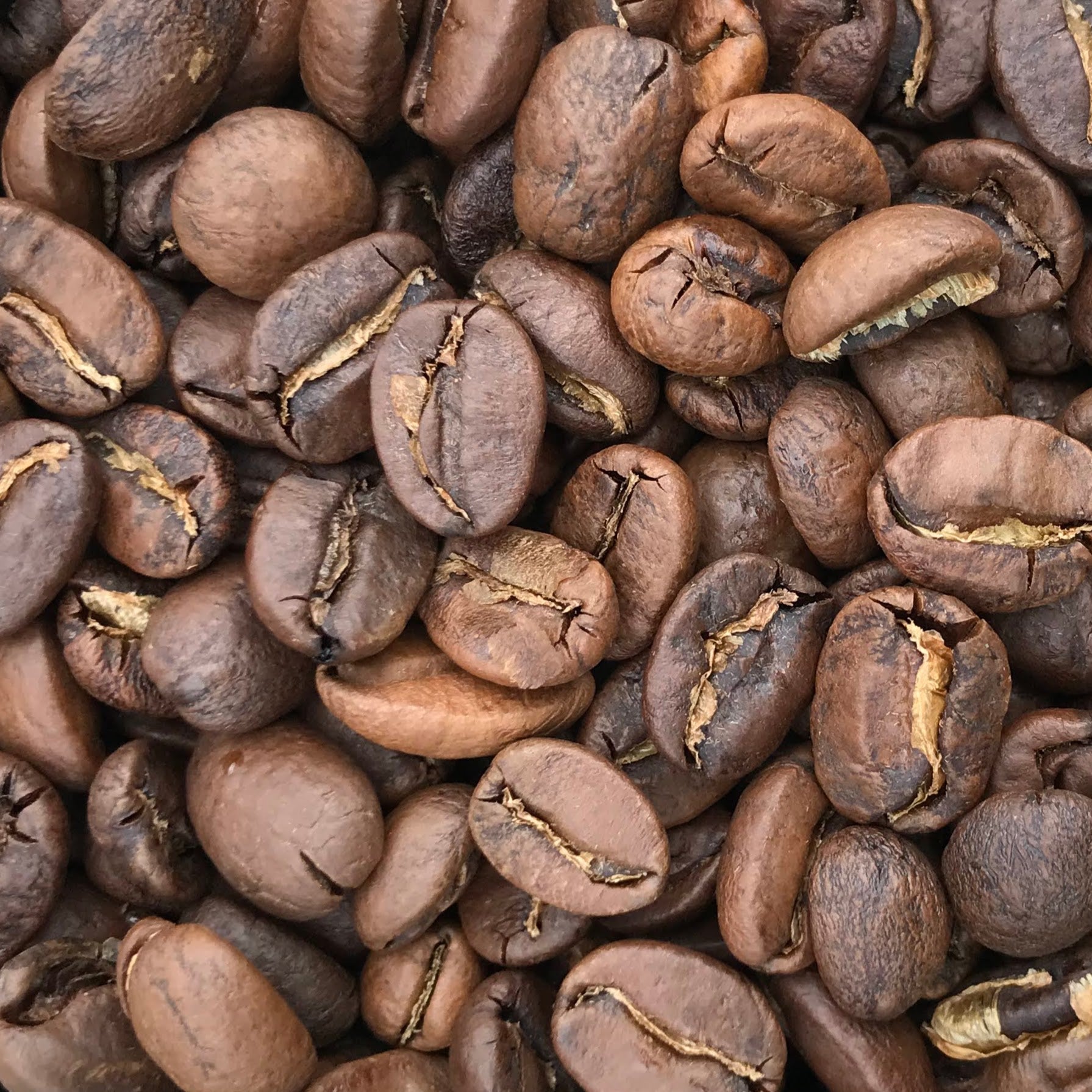 Kopi Luwak 100% (Civet coffee from Vietnam)